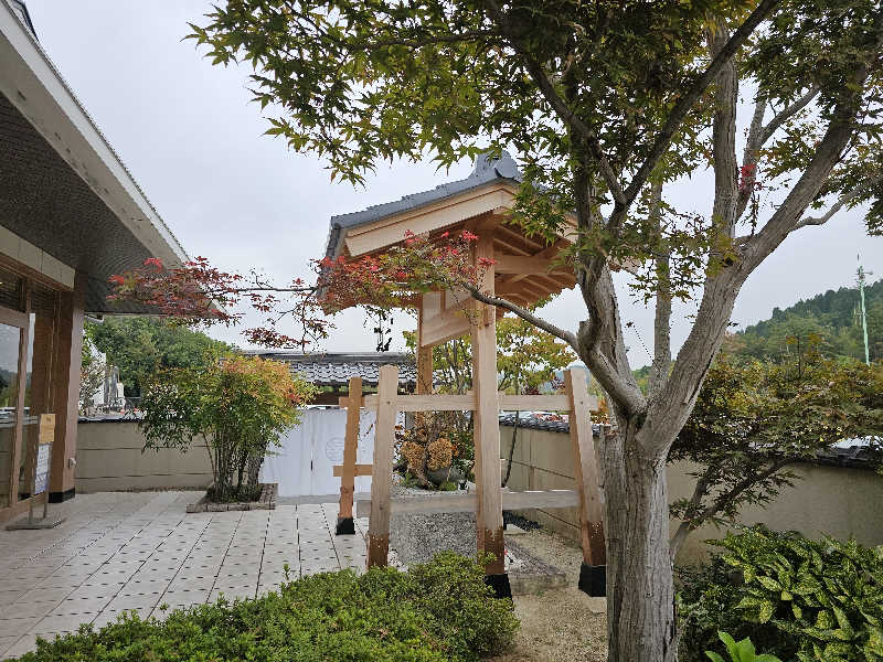ハニコさんの天光の湯のサ活写真