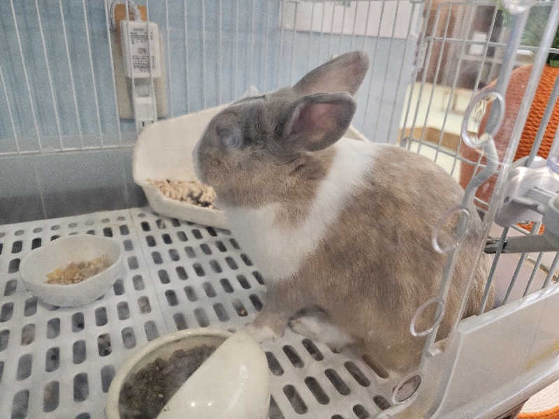 ハニコさんのアクアリゾート 岐阜ふじの湯のサ活写真