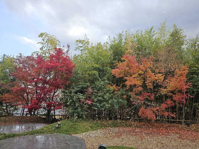 ハニコさんの癒しの里名張の湯のサ活写真