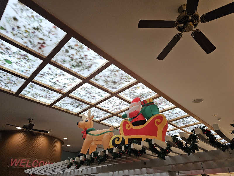 ハニコさんのアクアリゾート 岐阜ふじの湯のサ活写真