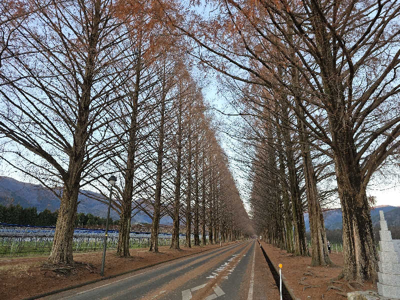 ハニコさんの伊勢パールピアホテルのサ活写真