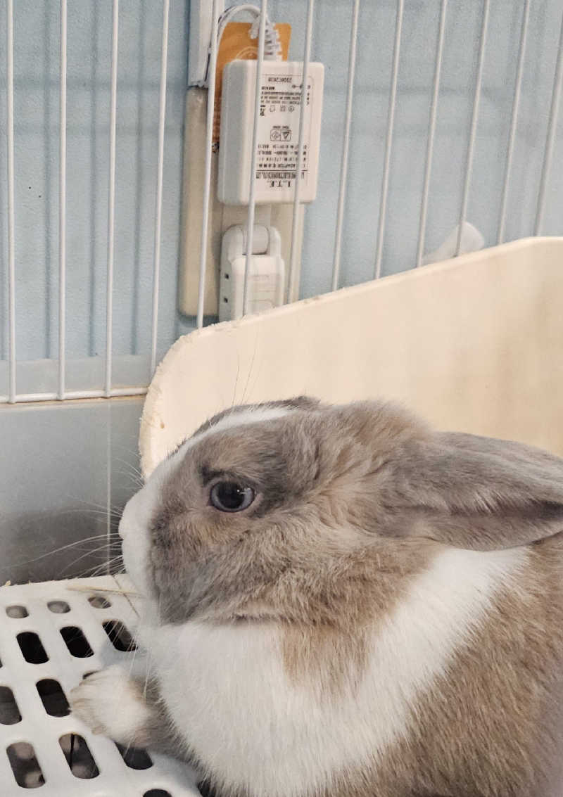 ハニコさんのアクアリゾート 岐阜ふじの湯のサ活写真