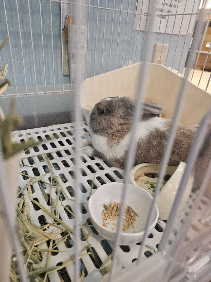 ハニコさんのアクアリゾート 岐阜ふじの湯のサ活写真