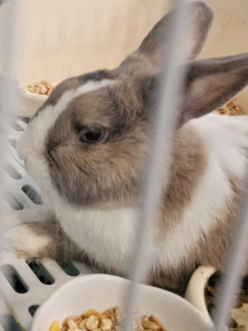 ハニコさんのアクアリゾート 岐阜ふじの湯のサ活写真