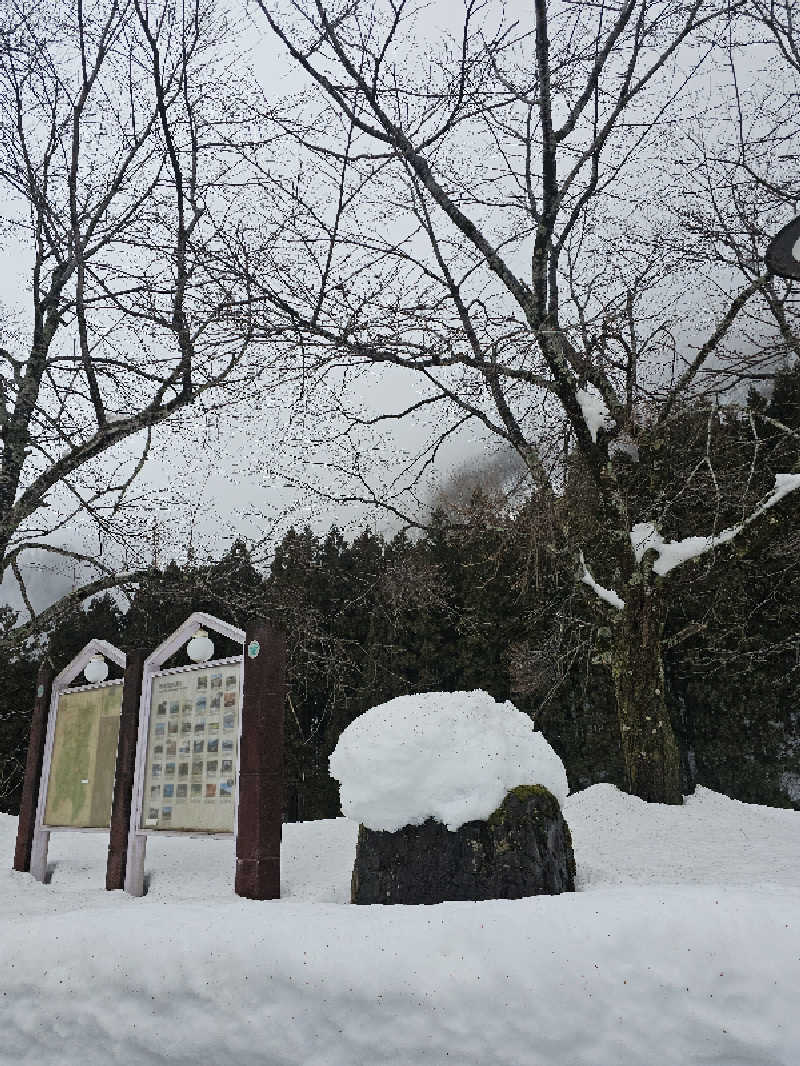 ハニコさんの平ふれあい温泉センター ゆ〜楽のサ活写真