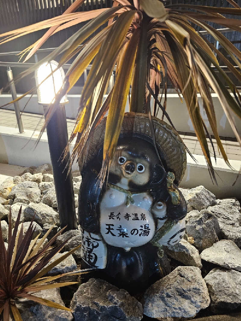 ハニコさんの長命寺温泉 天葉の湯のサ活写真
