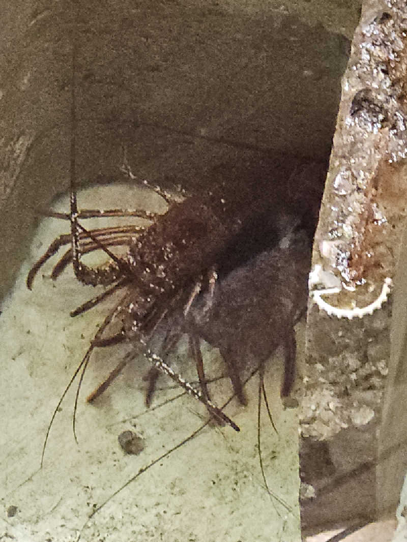 ハニコさんの伊勢パールピアホテルのサ活写真