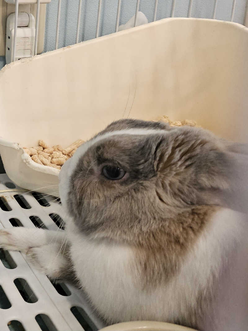 ハニコさんのアクアリゾート 岐阜ふじの湯のサ活写真