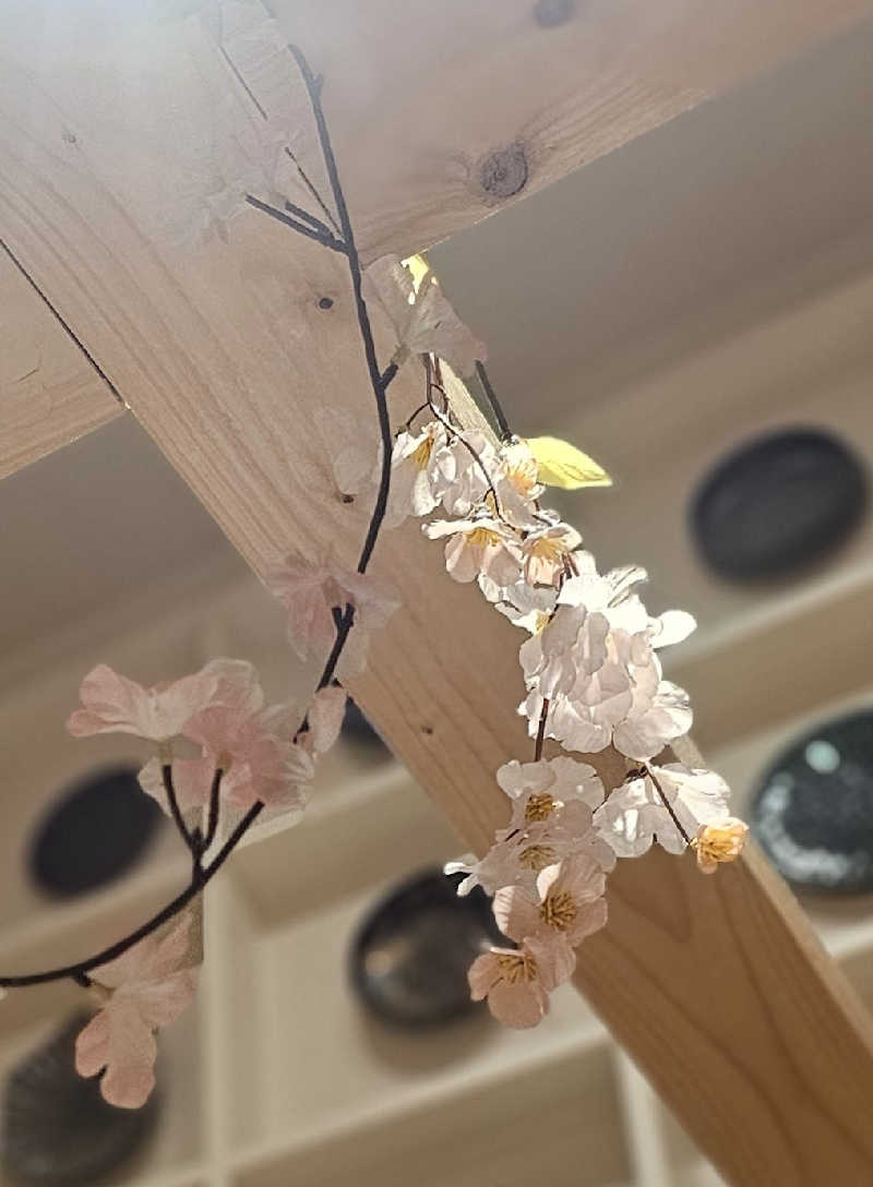 ハニコさんのとき温泉 KAMABAのサ活写真