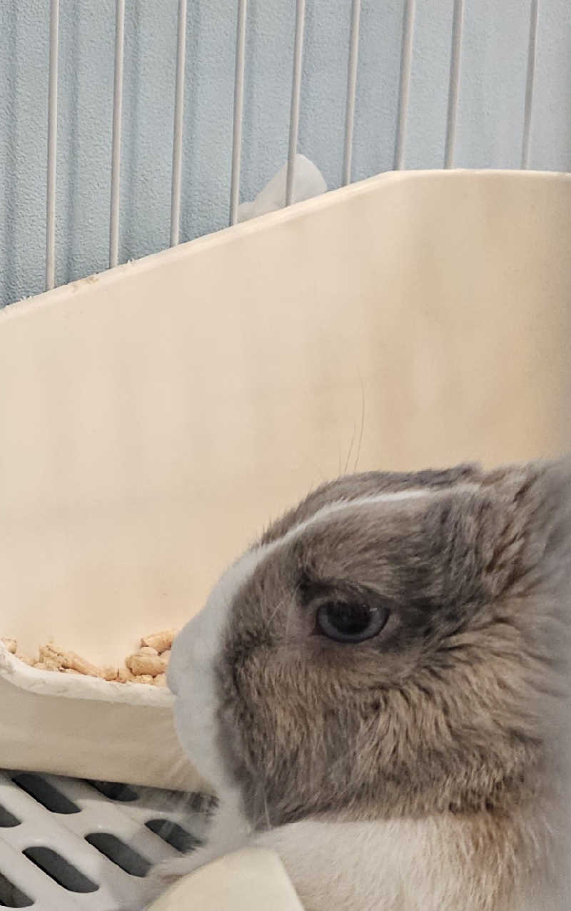ハニコさんのアクアリゾート 岐阜ふじの湯のサ活写真