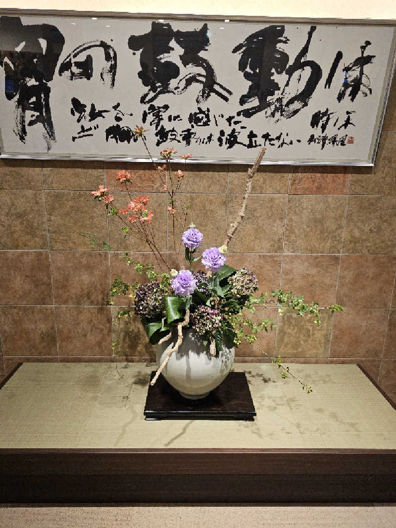 ハニコさんのSAUNA RESORT 天光の湯のサ活写真
