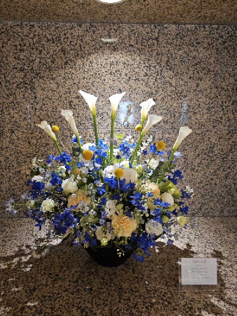 ハニコさんの伊勢パールピアホテルのサ活写真
