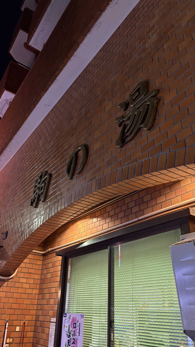 蒸されNさんの駒の湯のサ活写真