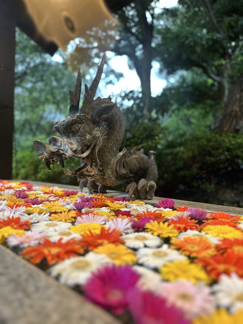 なしごれんさんのよみうりランド眺望温泉 花景の湯のサ活写真