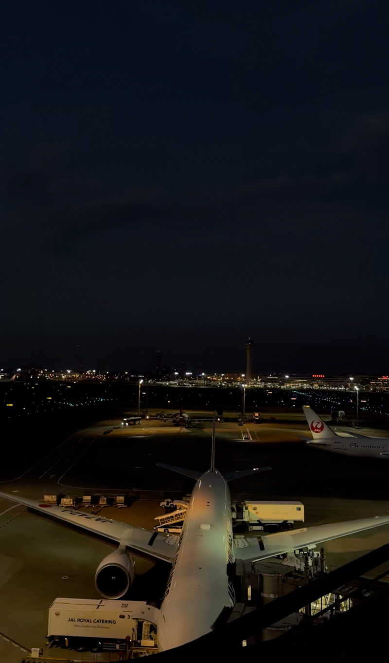 なしごれんさんの天然温泉 泉天空の湯 羽田空港のサ活写真