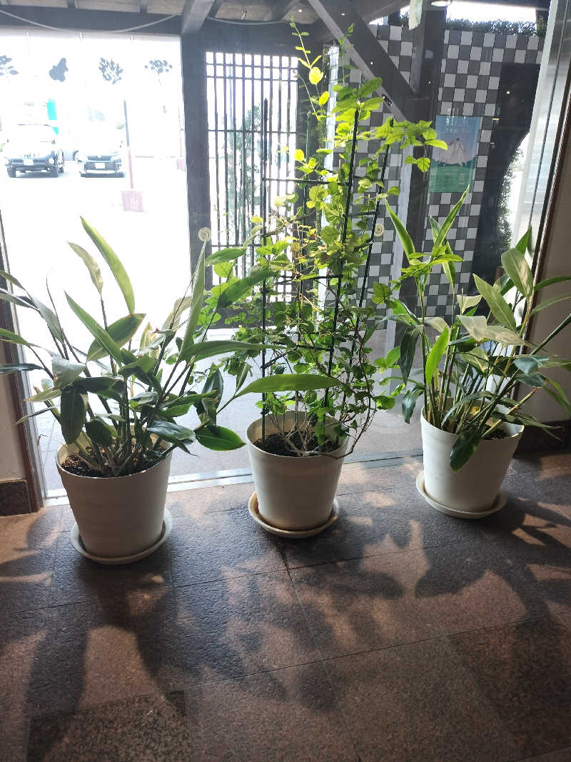 haru3eth.saunaさんの岐阜各務原 恵みの湯のサ活写真