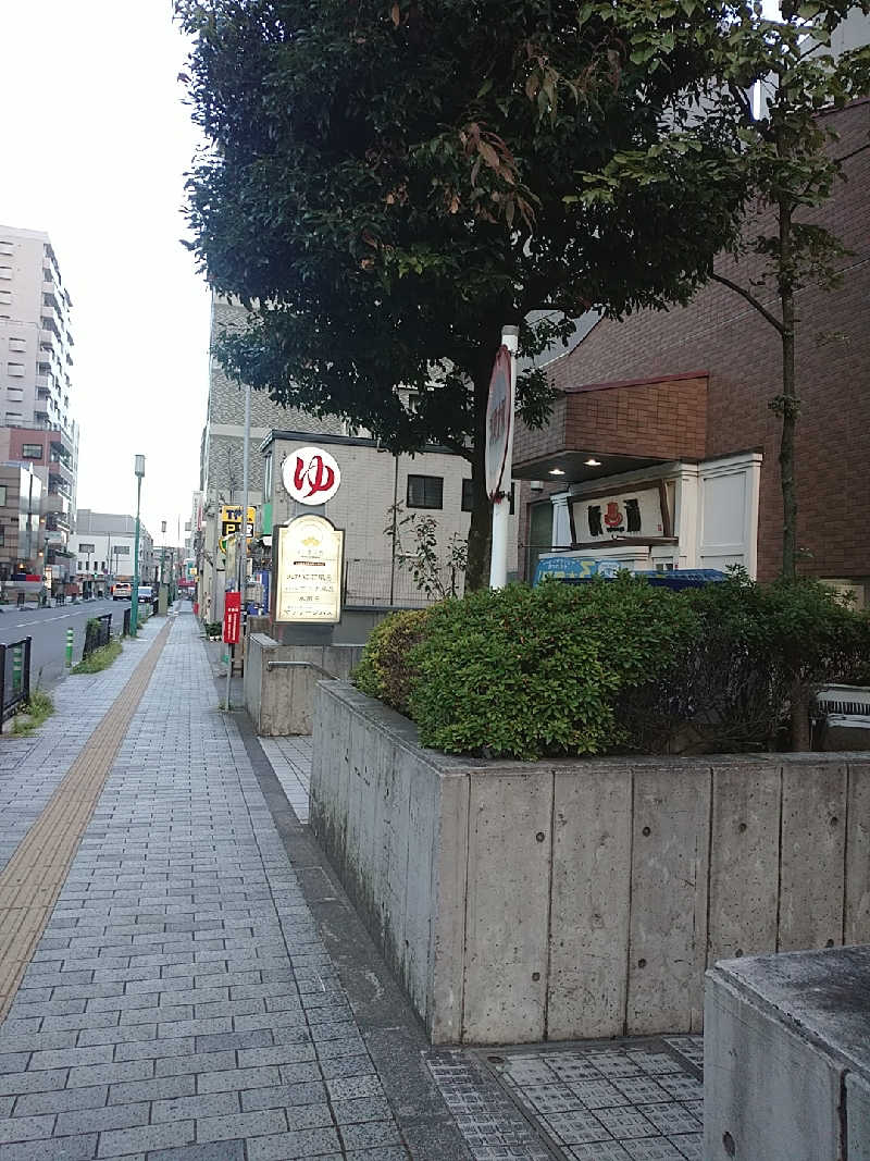 たぬちいさんの府中湯楽館 桜湯のサ活写真