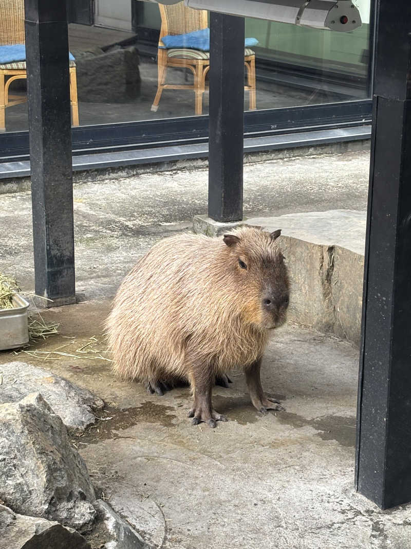 なーなーべんべさんの石狩天然温泉 番屋の湯のサ活写真