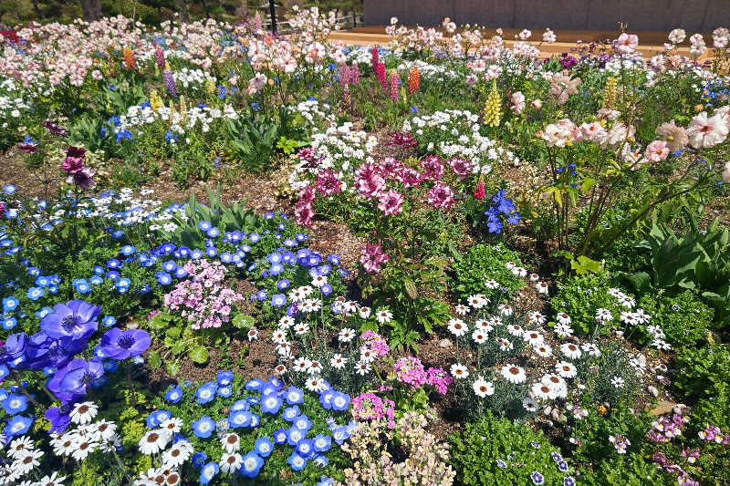 こえかずさんのよみうりランド眺望温泉 花景の湯のサ活写真