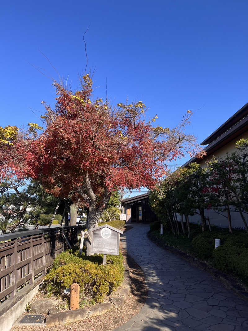 ekkyさんの野天風呂 湯の郷のサ活写真