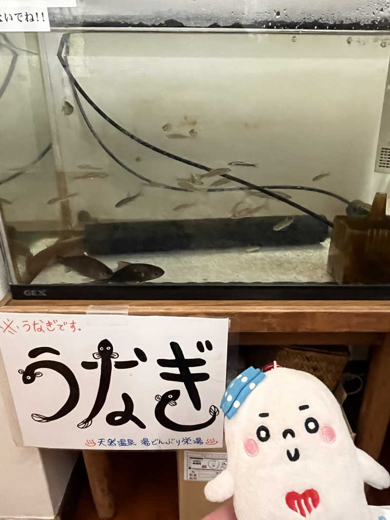 𝙚𝙠𝙠𝙮さんの天然温泉 湯どんぶり栄湯のサ活写真