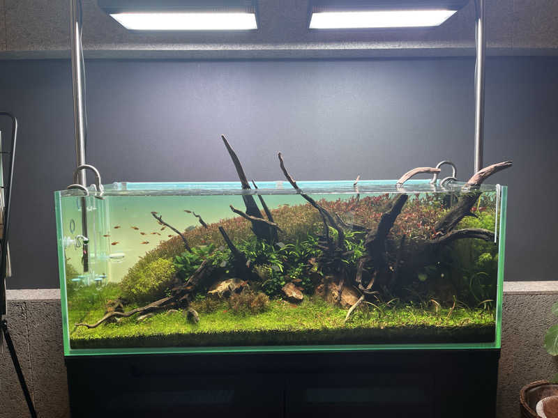 ekkyさんのSAUNA煌ｰKOUｰのサ活写真