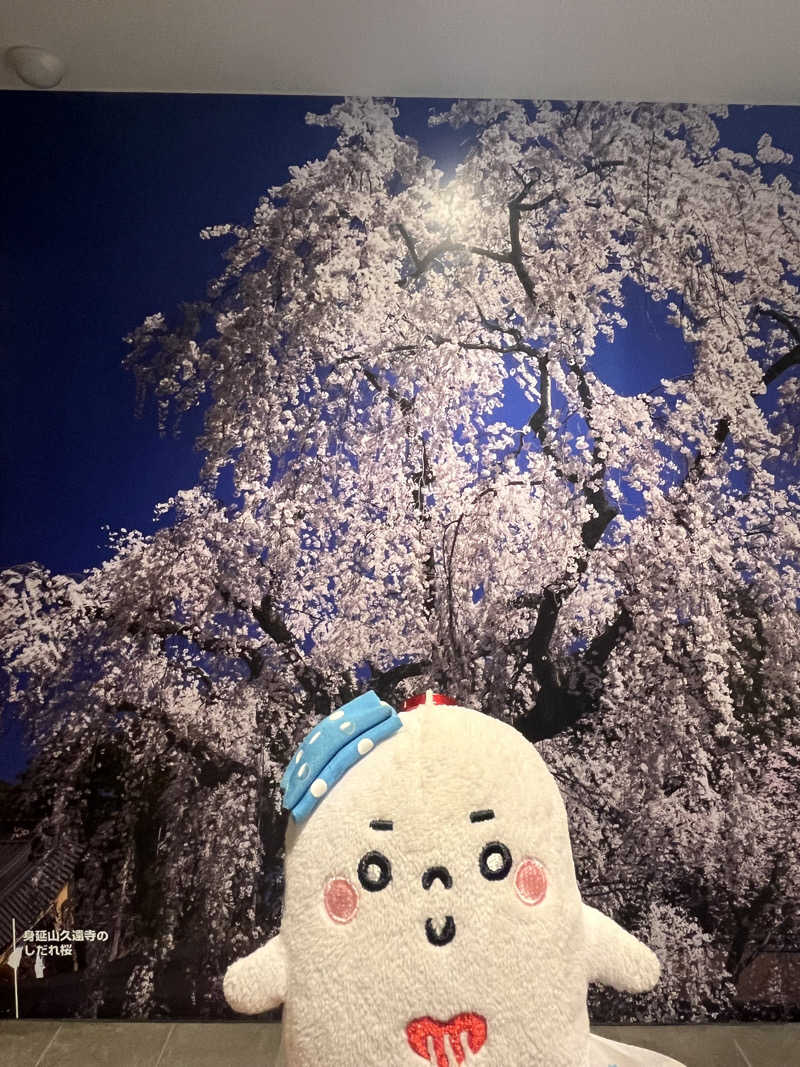 𝙚𝙠𝙠𝙮さんのヘルシースパサンロード しもべの湯のサ活写真