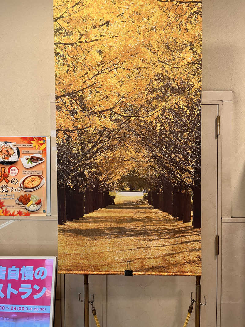 ekkyさんのサウナ・カプセルイン クレスト松戸のサ活写真