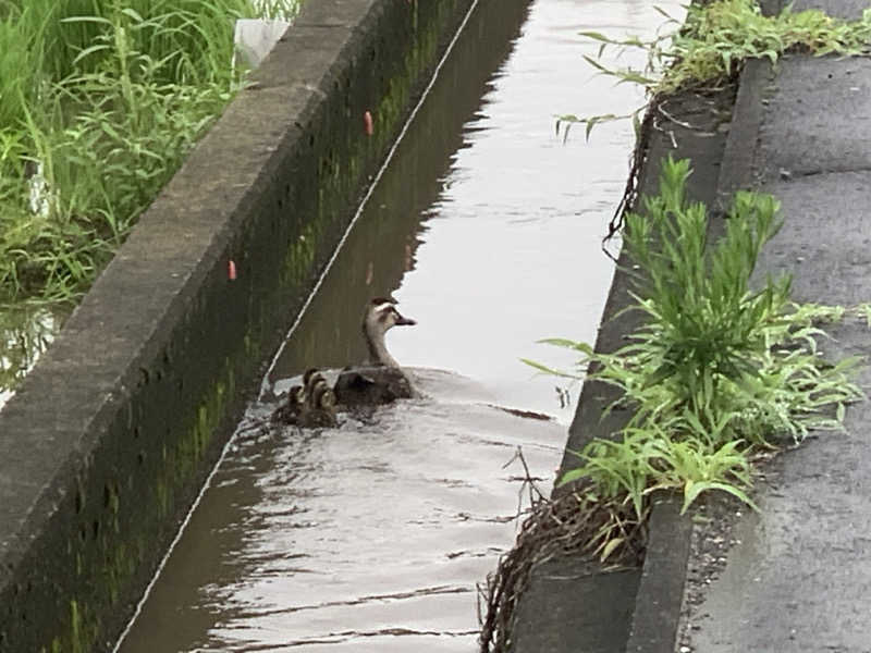 チャーミーさんのクア・メゾン 四季の湯のサ活写真