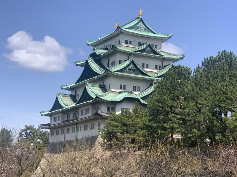 チャーミーさんの八千代湯のサ活写真