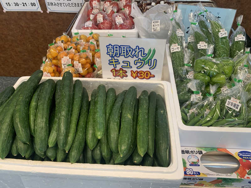 チャーミーさんの飛騨高山 ひだまりの湯のサ活写真
