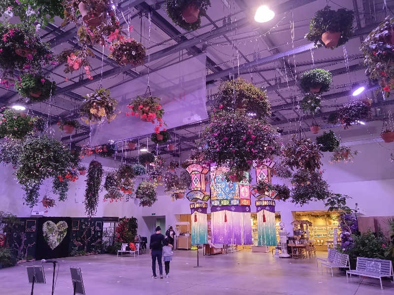 タケルさんのよみうりランド眺望温泉 花景の湯のサ活写真