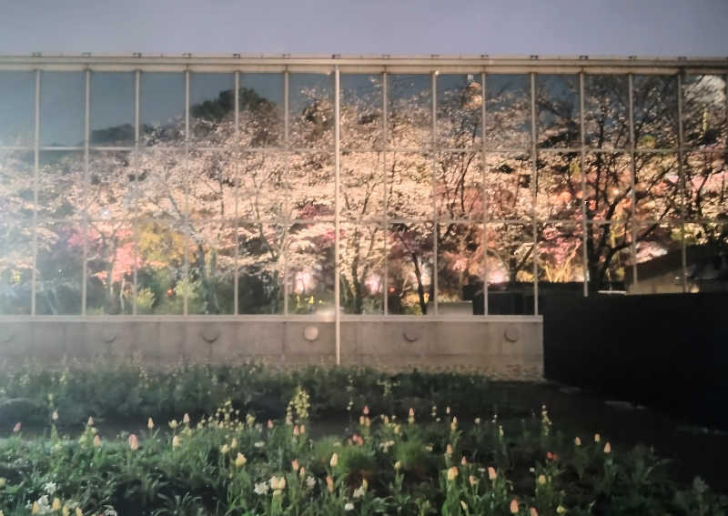 タケルさんのよみうりランド眺望温泉 花景の湯のサ活写真