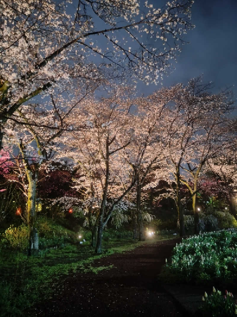 タケルさんのよみうりランド眺望温泉 花景の湯のサ活写真