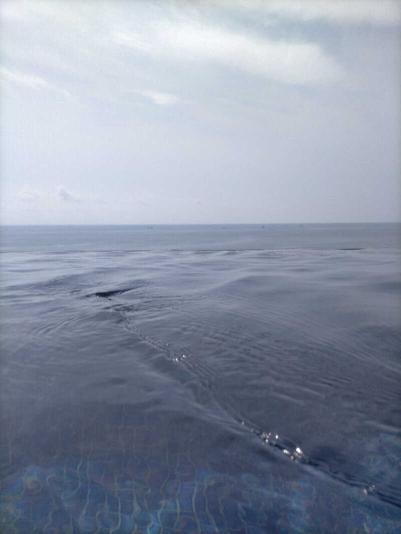 N Mさんの大磯プリンスホテル THERMAL SPA S.WAVEのサ活写真