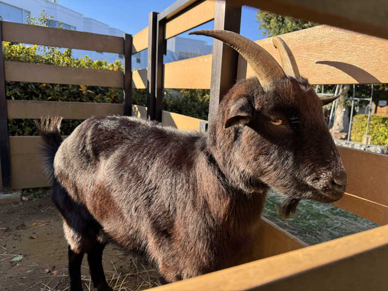 あまみBoyさんの東急ハーヴェストクラブ浜名湖(ホテルハーヴェスト浜名湖)のサ活写真