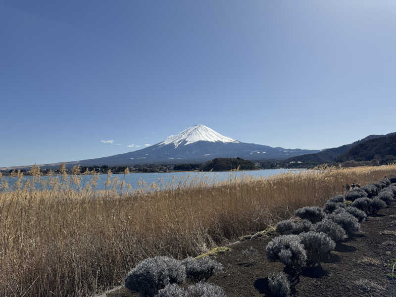あまみBoyさんのホテルマウント富士のサ活写真