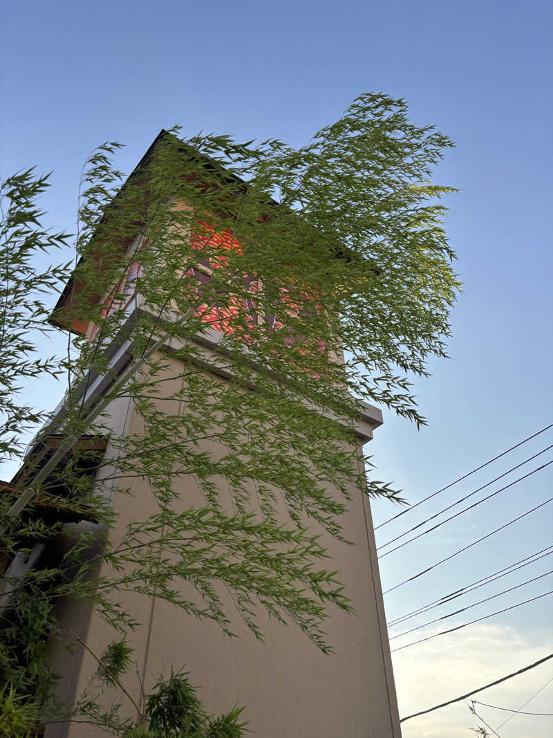 つーさんさんの湯屋敷孝楽のサ活写真