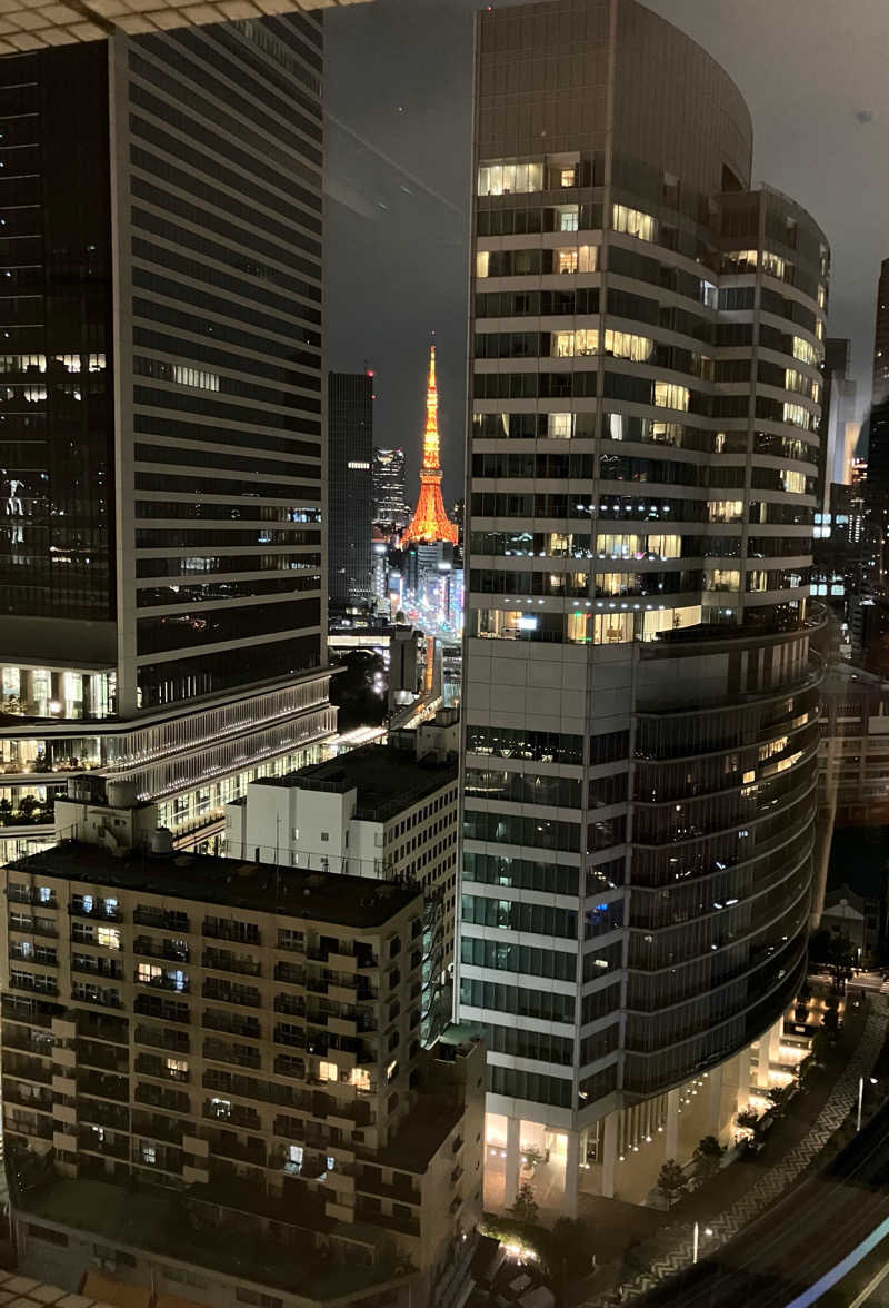 まぐ千payさんのアジュール竹芝 天空の湯のサ活写真