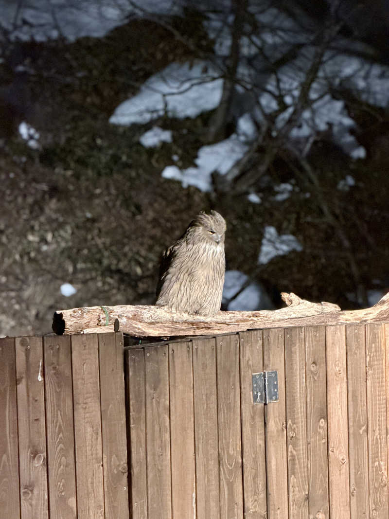 やまださんの湯宿だいいちのサ活写真