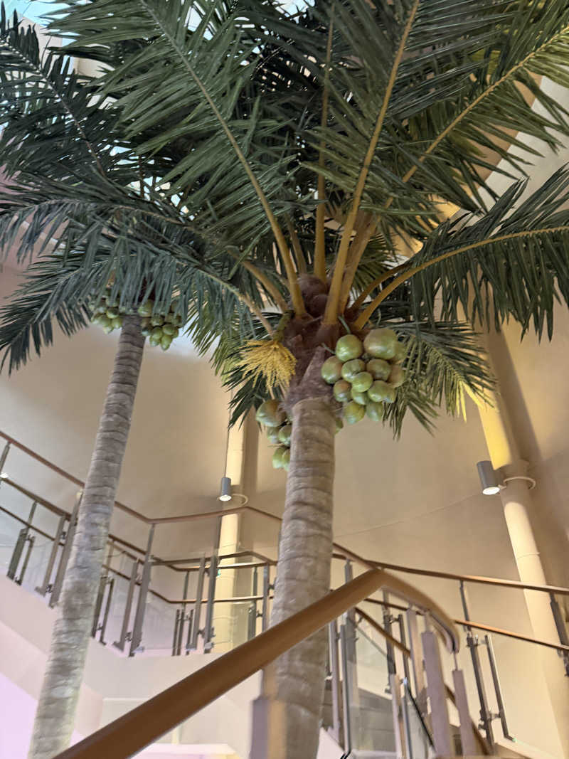 やまださんのスパ&ホテル 舞浜ユーラシアのサ活写真