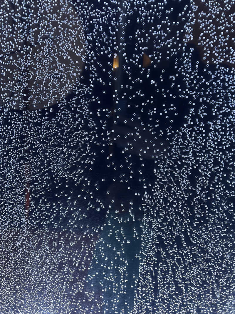 ワシなビーバーさんの湊湯のサ活写真