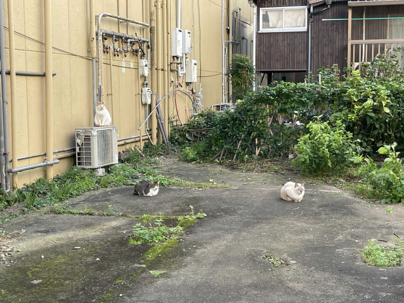 きよまささんのロジウラサウナ(BEPPU ROJIURA STAY & SAUNA)のサ活写真