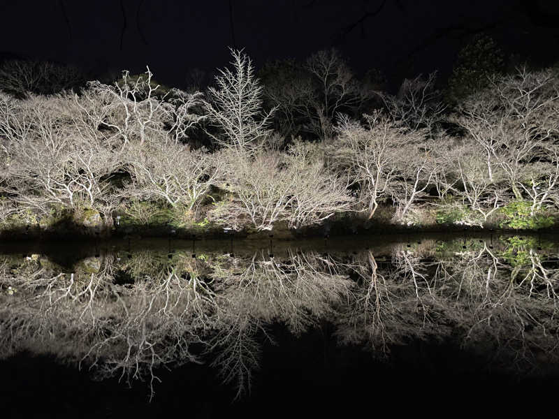 きよまささんの御船山楽園ホテル  らかんの湯のサ活写真