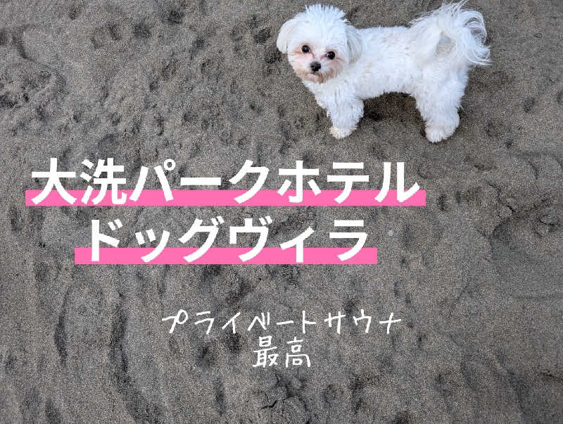 sa-tan♡さんの大洗パークホテルのサ活写真