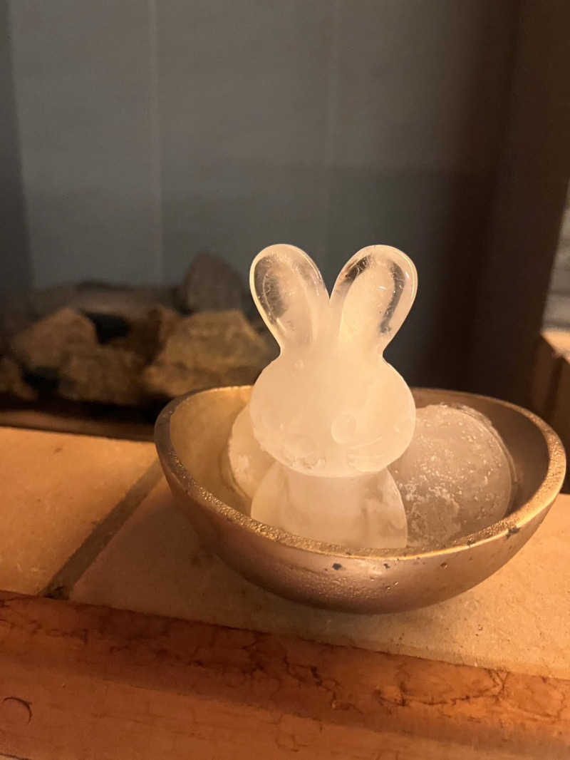 りおぴさんのsauna&environ totonoi USAGIのサ活写真