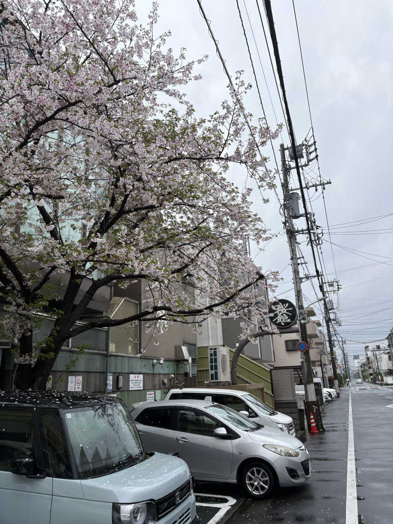 Mmkさんの桜館のサ活写真