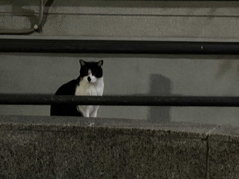 コミシンさんのふれ愛温泉矢田のサ活写真