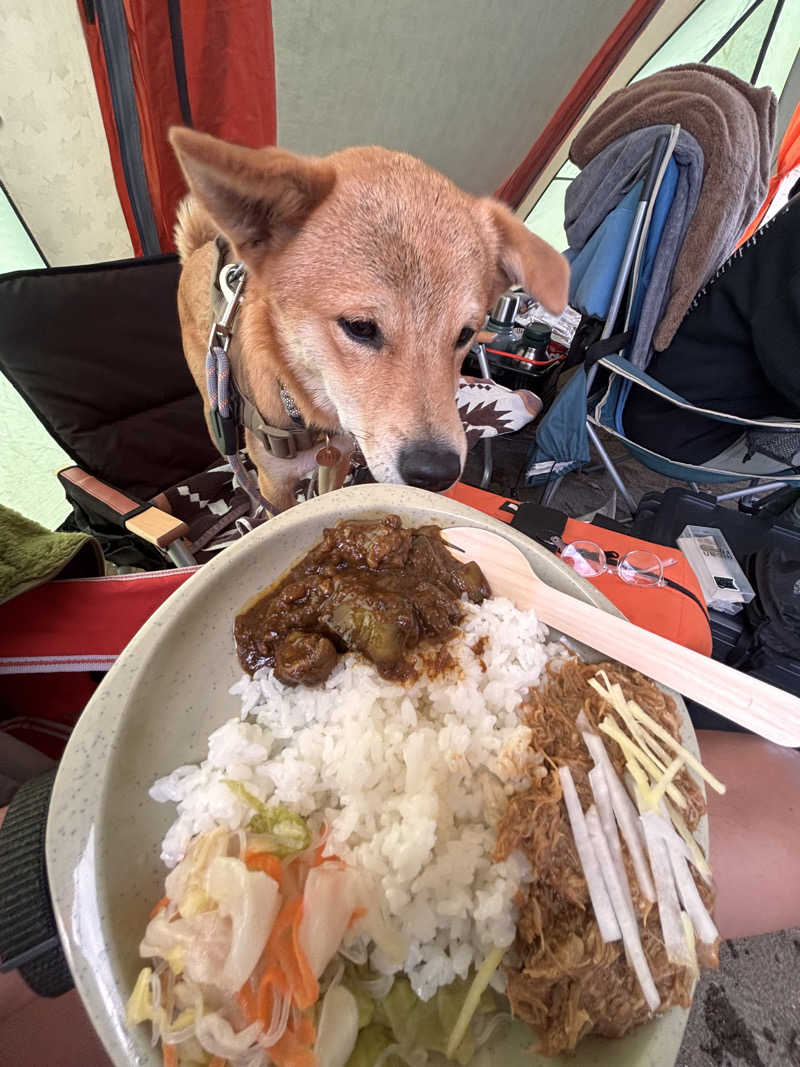 tona🦌さんの支笏湖美笛キャンプ場のサ活写真