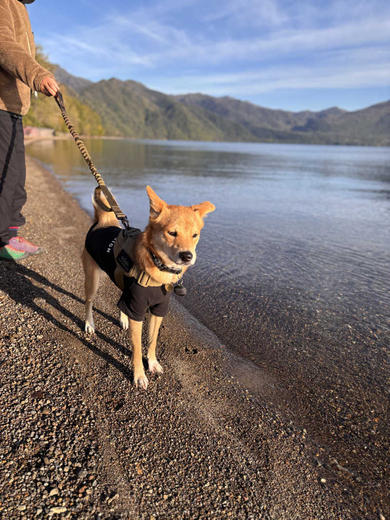 tona🦌さんの支笏湖美笛キャンプ場のサ活写真